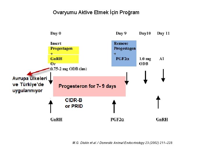 Ovaryumu Aktive Etmek İçin Proğram M. G. Diskin et al. / Domestic Animal Endocrinology