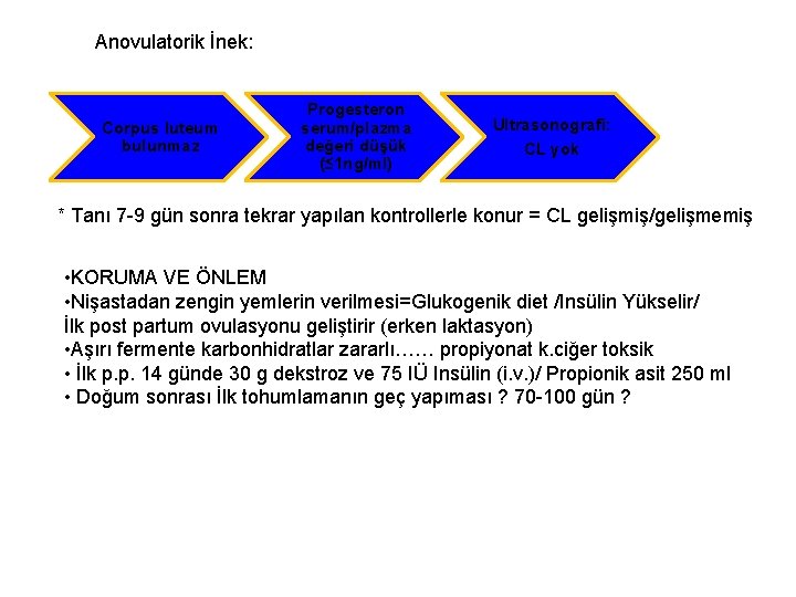 Anovulatorik İnek: Corpus luteum bulunmaz Progesteron serum/plazma değeri düşük (≤ 1 ng/ml) Ultrasonografi: CL