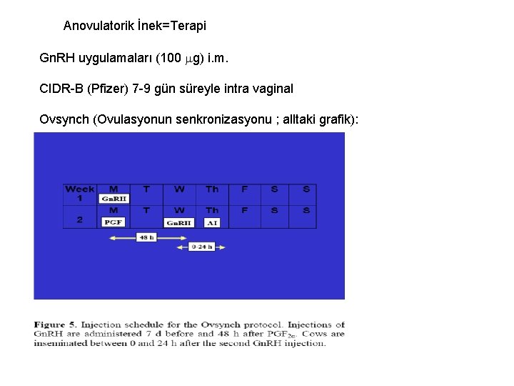 Anovulatorik İnek=Terapi Gn. RH uygulamaları (100 g) i. m. CIDR-B (Pfizer) 7 -9 gün