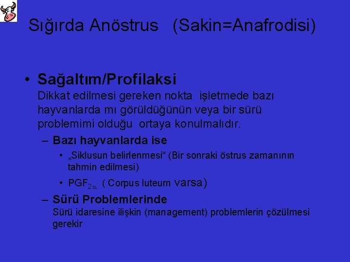 Sığırda Anöstrus (Sakin=Anafrodisi) • Sağaltım/Profilaksi Dikkat edilmesi gereken nokta işletmede bazı hayvanlarda mı görüldüğünün