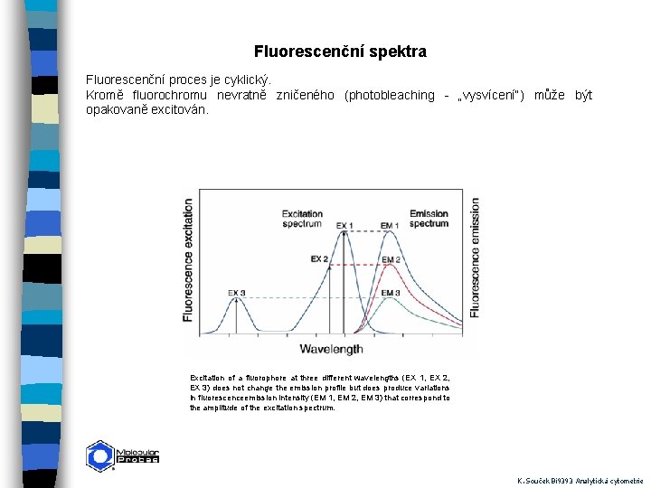 Fluorescenční spektra Fluorescenční proces je cyklický. Kromě fluorochromu nevratně zničeného (photobleaching - „vysvícení“) může
