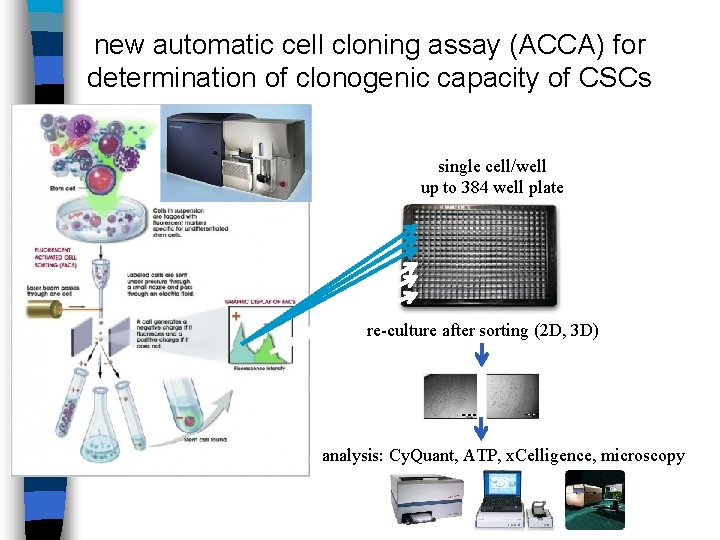 new automatic cell cloning assay (ACCA) for determination of clonogenic capacity of CSCs single