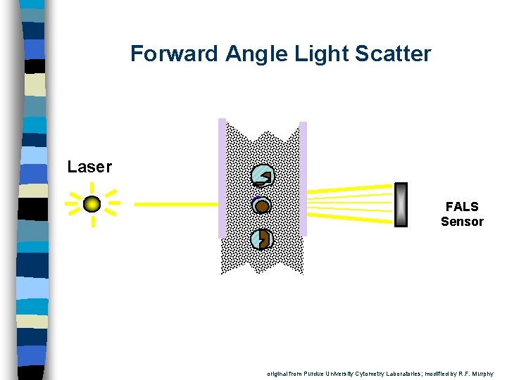 Forward Angle Light Scatter Laser FALS Sensor original from Purdue University Cytometry Laboratories; modified