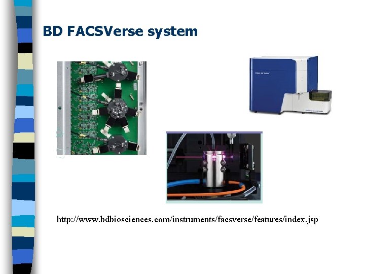 BD FACSVerse system http: //www. bdbiosciences. com/instruments/facsverse/features/index. jsp 