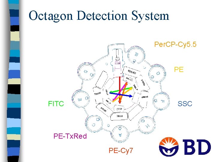 Octagon Detection System Per. CP-Cy 5. 5 695 65 5 L P 6 L
