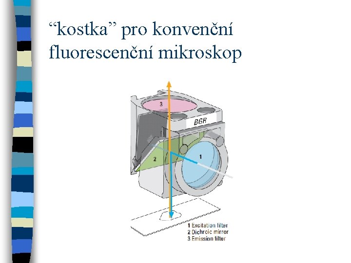 “kostka” pro konvenční fluorescenční mikroskop 