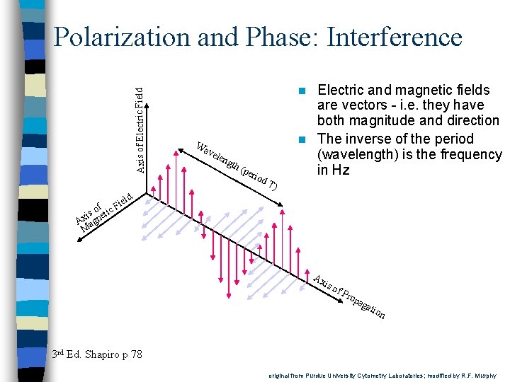 Axis of Electric Field Polarization and Phase: Interference i of tic F s i