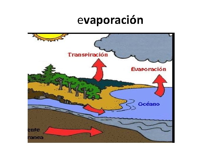  evaporación 