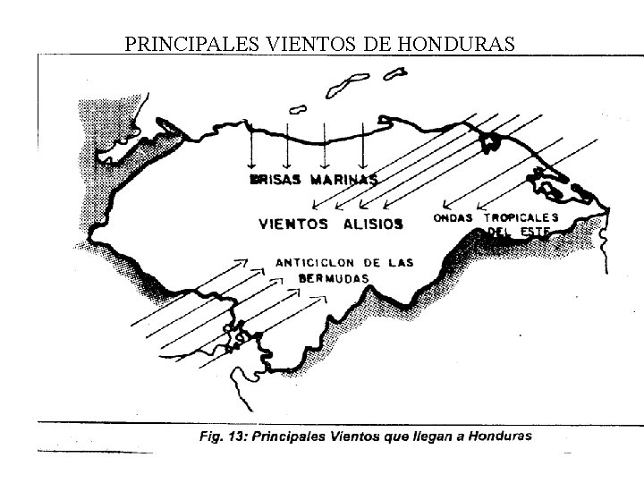 PRINCIPALES VIENTOS DE HONDURAS 