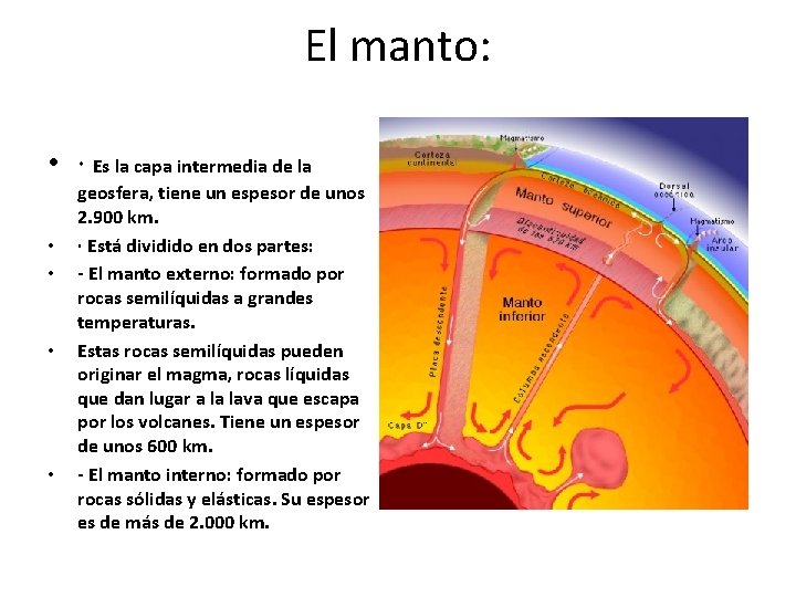 El manto: • · Es la capa intermedia de la • • geosfera, tiene