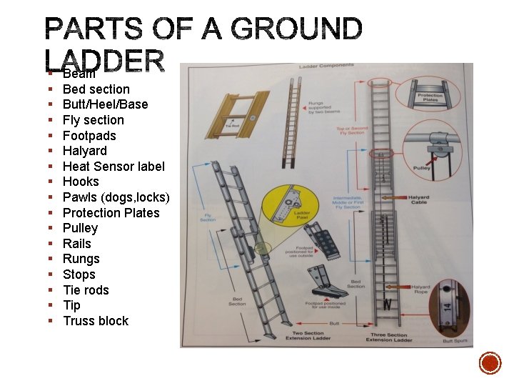 § § § § § Beam Bed section Butt/Heel/Base Fly section Footpads Halyard Heat