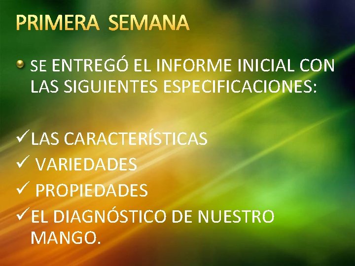 PRIMERA SEMANA SE ENTREGÓ EL INFORME INICIAL CON LAS SIGUIENTES ESPECIFICACIONES: üLAS CARACTERÍSTICAS ü