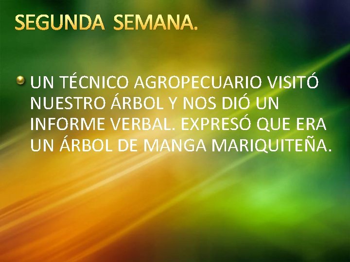 SEGUNDA SEMANA. UN TÉCNICO AGROPECUARIO VISITÓ NUESTRO ÁRBOL Y NOS DIÓ UN INFORME VERBAL.