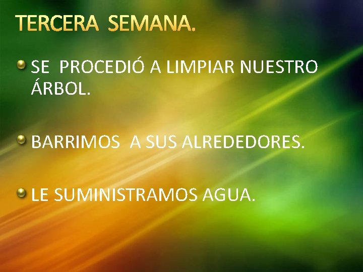 TERCERA SEMANA. SE PROCEDIÓ A LIMPIAR NUESTRO ÁRBOL. BARRIMOS A SUS ALREDEDORES. LE SUMINISTRAMOS