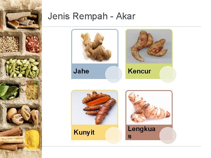 Jenis Rempah - Akar Jahe Kencur Kunyit Lengkua s 