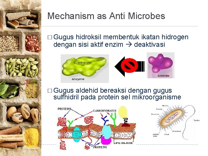 Mechanism as Anti Microbes � Gugus hidroksil membentuk ikatan hidrogen dengan sisi aktif enzim
