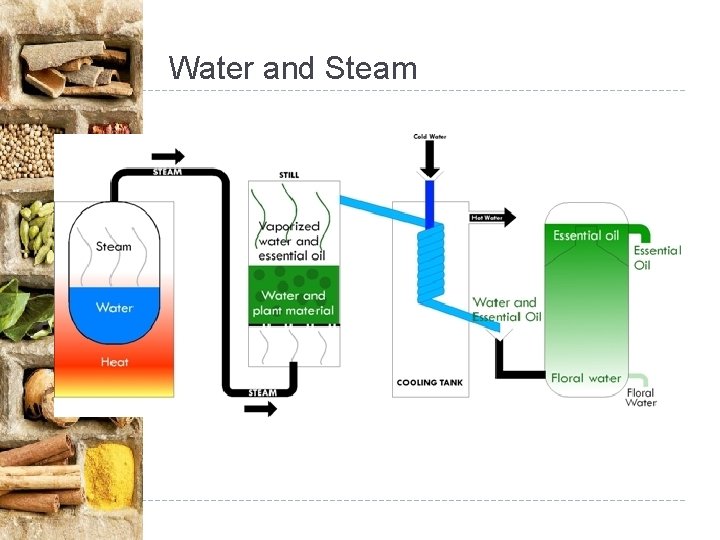 Water and Steam Water and Steam