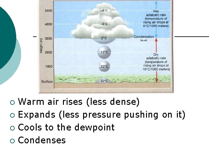 Warm air rises (less dense) ¡ Expands (less pressure pushing on it) ¡ Cools