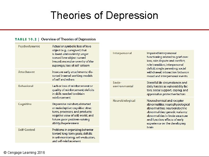 Theories of Depression © Cengage Learning 2016 