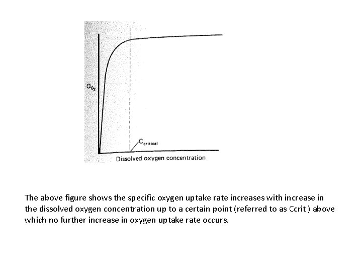 The above figure shows the specific oxygen uptake rate increases with increase in the
