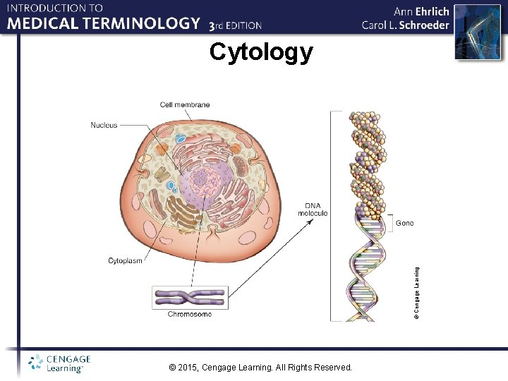 © Cengage Learning Cytology © 2015, Cengage Learning. All Rights Reserved. 