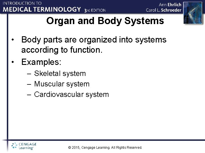 Organ and Body Systems • Body parts are organized into systems according to function.