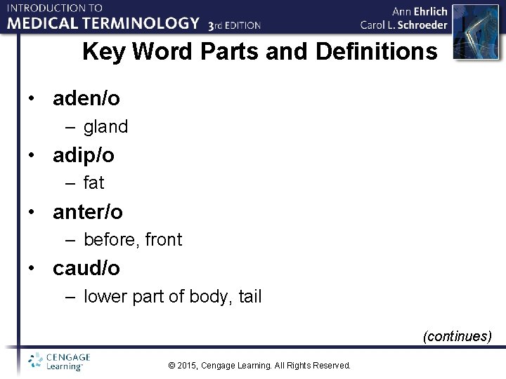 Key Word Parts and Definitions • aden/o – gland • adip/o – fat •