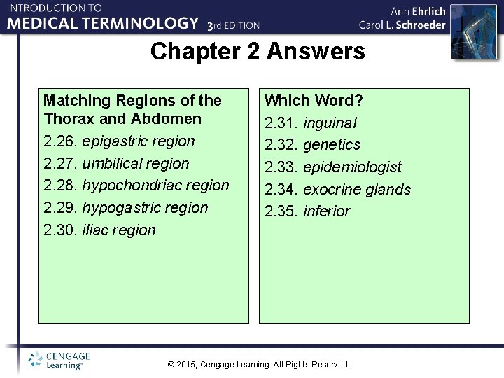 Chapter 2 Answers Matching Regions of the Thorax and Abdomen 2. 26. epigastric region