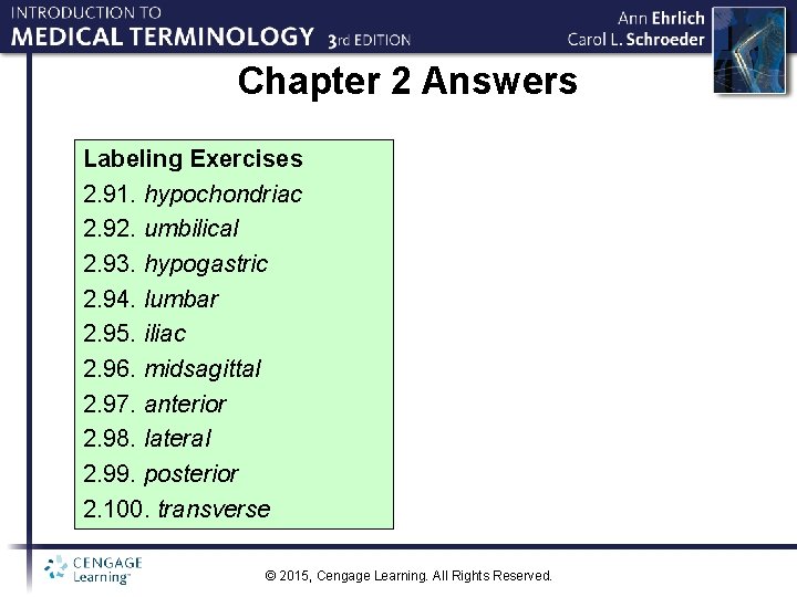 Chapter 2 Answers Labeling Exercises 2. 91. hypochondriac 2. 92. umbilical 2. 93. hypogastric