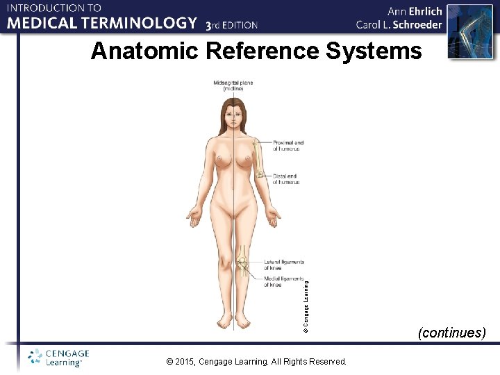 © Cengage Learning Anatomic Reference Systems © 2015, Cengage Learning. All Rights Reserved. (continues)