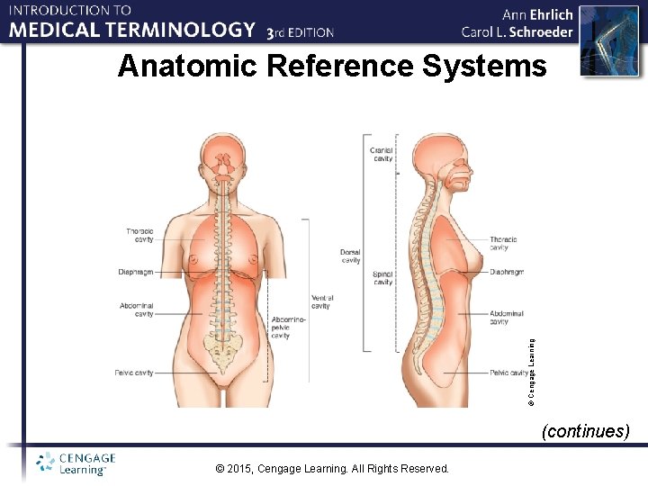 © Cengage Learning Anatomic Reference Systems (continues) © 2015, Cengage Learning. All Rights Reserved.