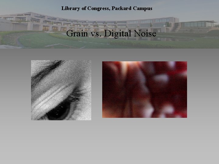 Library of Congress, Packard Campus Grain vs. Digital Noise 