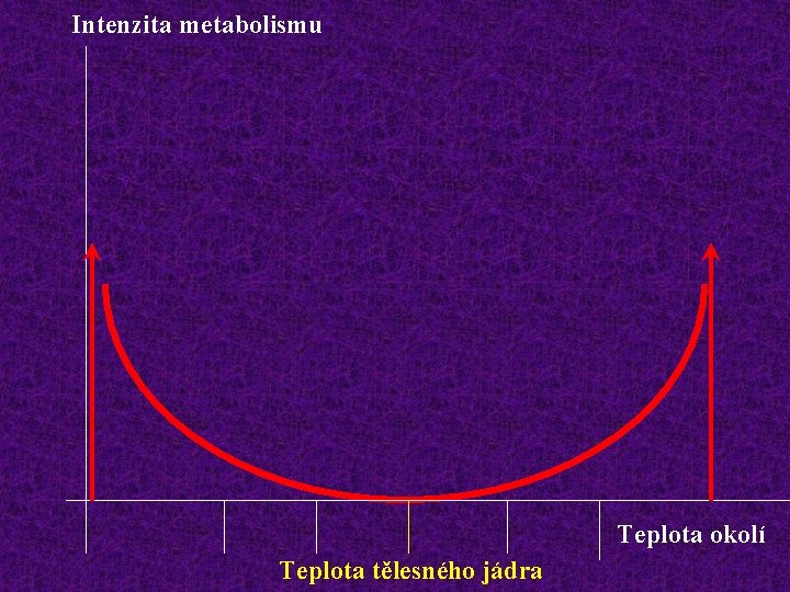 Intenzita metabolismu Teplota okolí Teplota tělesného jádra 