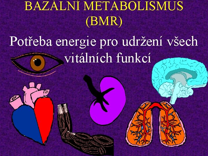 BAZÁLNÍ METABOLISMUS (BMR) Potřeba energie pro udržení všech vitálních funkcí 