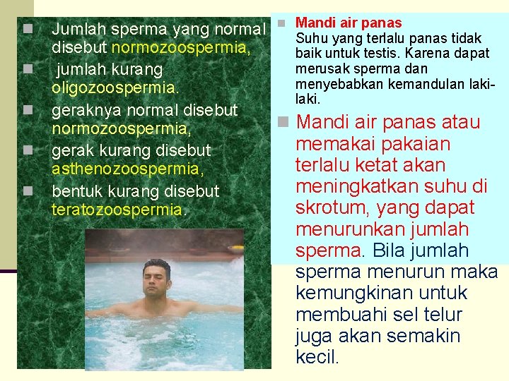 n n n Jumlah sperma yang normal n Mandi air panas Suhu yang terlalu