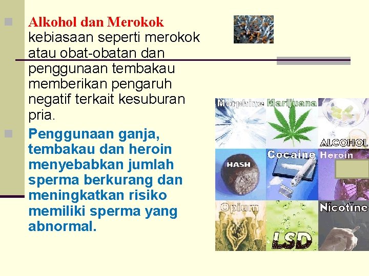 n n Alkohol dan Merokok kebiasaan seperti merokok atau obat-obatan dan penggunaan tembakau memberikan