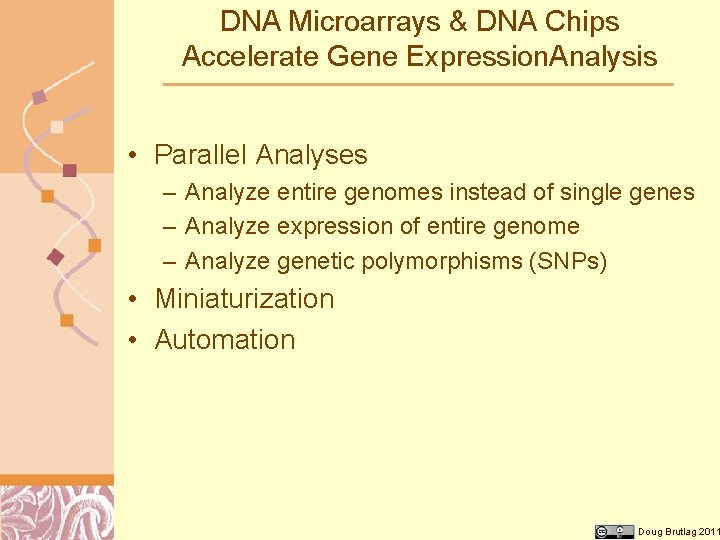 DNA Microarrays & DNA Chips Accelerate Gene Expression. Analysis • Parallel Analyses – Analyze