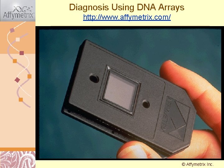 Diagnosis Using DNA Arrays http: //www. affymetrix. com/ © Affymetrix Doug Inc. Brutlag 2011