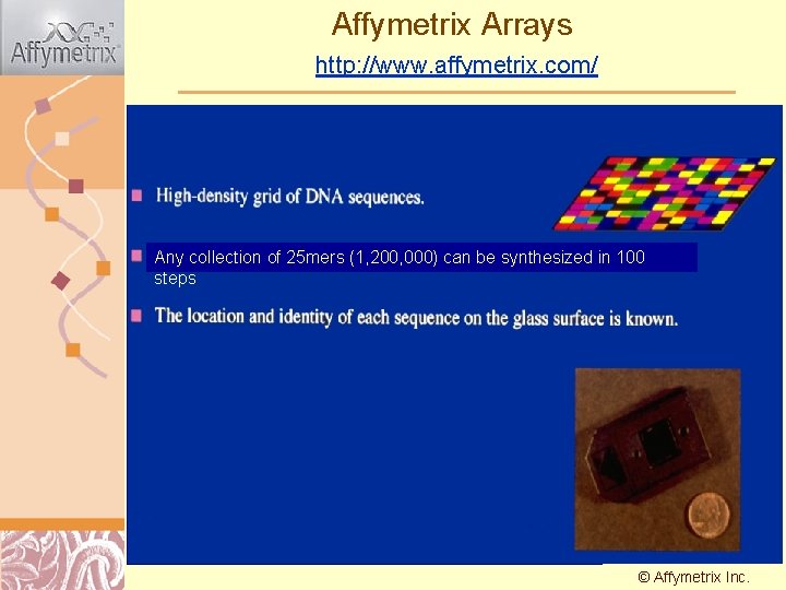 Affymetrix Arrays http: //www. affymetrix. com/ Any collection of 25 mers (1, 200, 000)