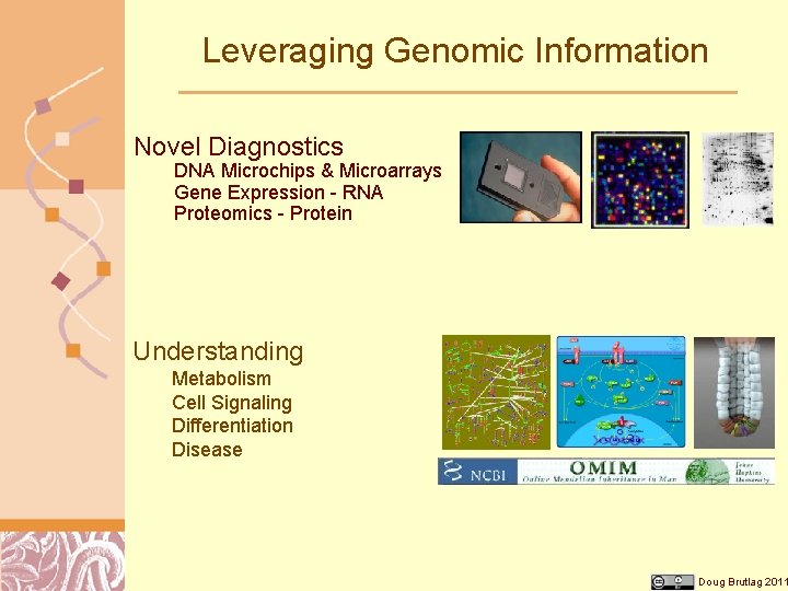 Leveraging Genomic Information Novel Diagnostics DNA Microchips & Microarrays Gene Expression - RNA Proteomics