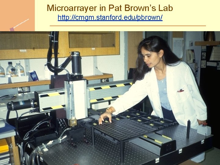 Microarrayer in Pat Brown’s Lab http: //cmgm. stanford. edu/pbrown/ Doug Brutlag 2011 