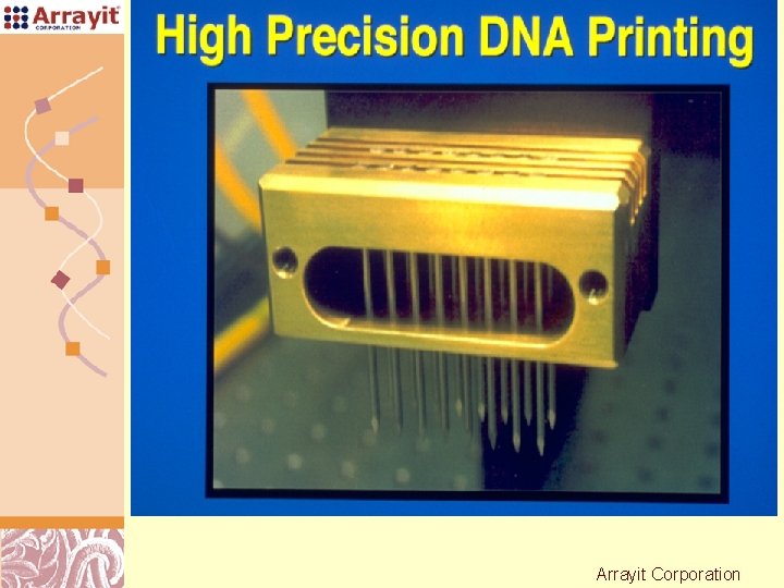 High Precision DNA Printing Arrayit Corporation Doug Brutlag 2011 