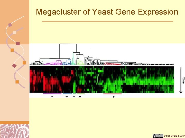 Megacluster of Yeast Gene Expression Doug Brutlag 2011 
