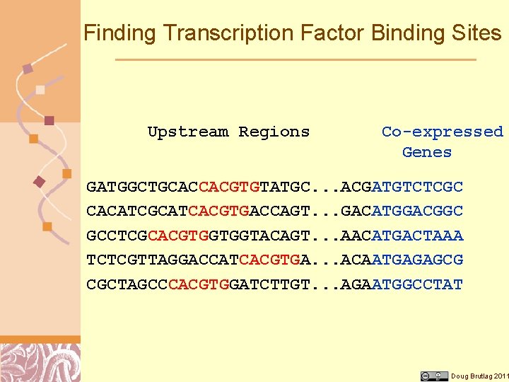 Finding Transcription Factor Binding Sites Upstream Regions Co-expressed Genes GATGGCTGCACCACGTGTATGC. . . ACGATGTCTCGC CACATCGCATCACGTGACCAGT.