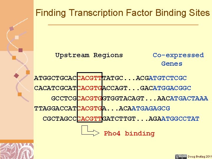 Finding Transcription Factor Binding Sites Upstream Regions Co-expressed Genes ATGGCTGCACCACGTTTATGC. . . ACGATGTCTCGC CACATCGCATCACGTGACCAGT.