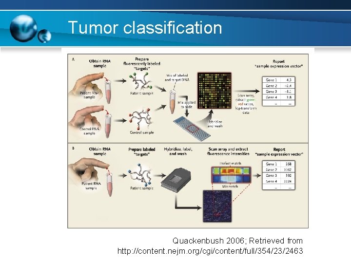 Tumor classification Quackenbush 2006; Retrieved from http: //content. nejm. org/cgi/content/full/354/23/2463 
