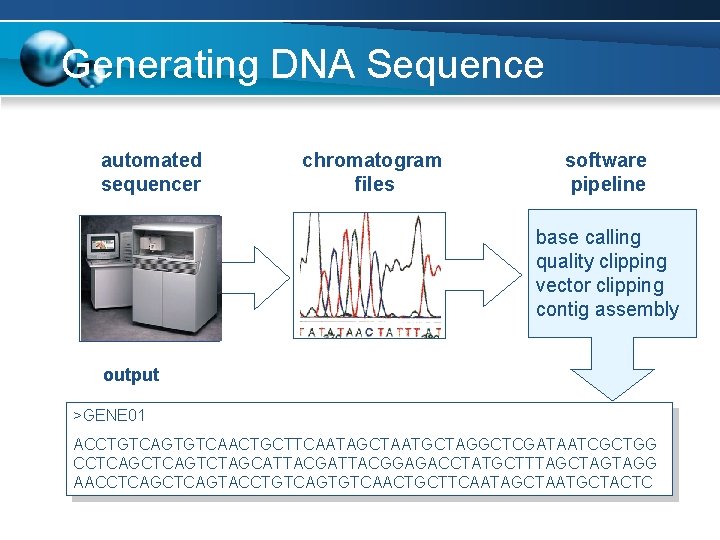 Generating DNA Sequence automated sequencer chromatogram files software pipeline base calling quality clipping vector