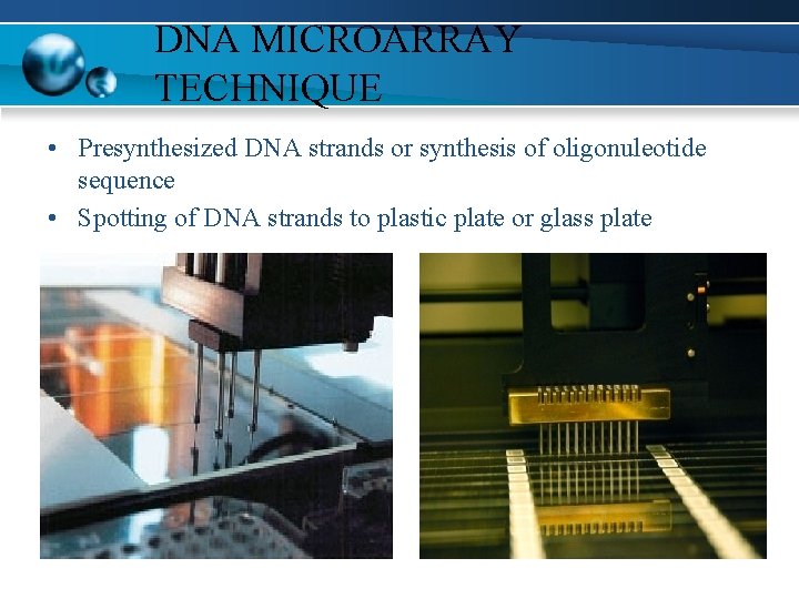 DNA MICROARRAY TECHNIQUE • Presynthesized DNA strands or synthesis of oligonuleotide sequence • Spotting