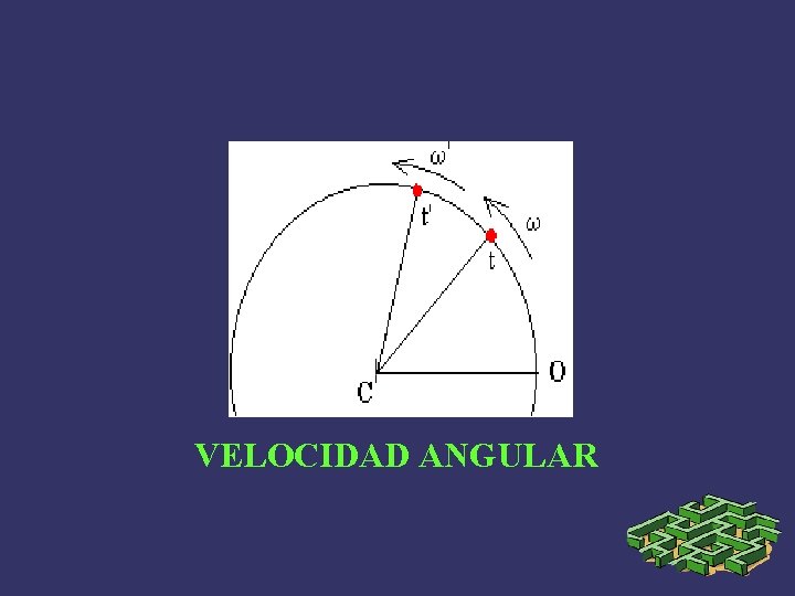 VELOCIDAD ANGULAR 