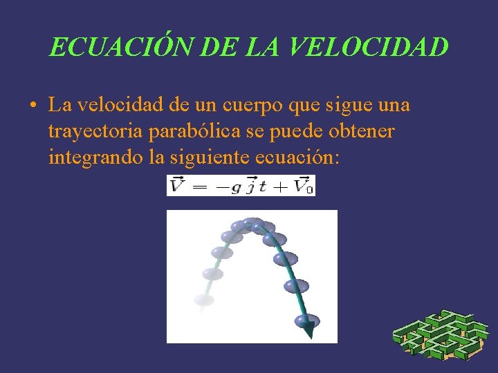 ECUACIÓN DE LA VELOCIDAD • La velocidad de un cuerpo que sigue una trayectoria